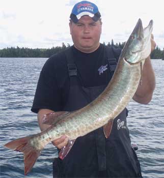 Many BIG Musky Fishing at Fireside Lodge Canada